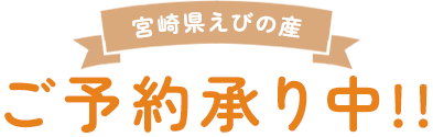 宮崎産えびの産　ご予約承り中!!