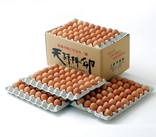 商品紹介|宮崎県えびの市の新鮮な卵は東養鶏場
